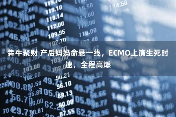 犇牛聚财 产后妈妈命悬一线，ECMO上演生死时速，全程高燃