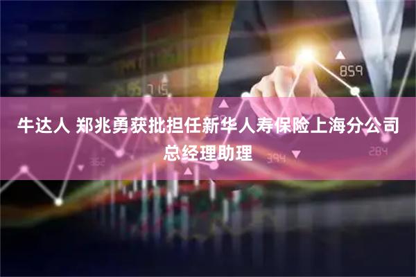 牛达人 郑兆勇获批担任新华人寿保险上海分公司总经理助理