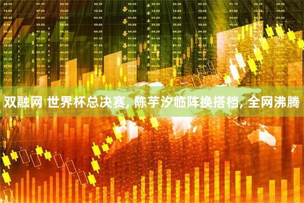 双融网 世界杯总决赛, 陈芋汐临阵换搭档, 全网沸腾