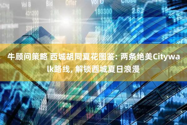 牛顾问策略 西城胡同夏花图鉴: 两条绝美Citywalk路线, 解锁西城夏日浪漫